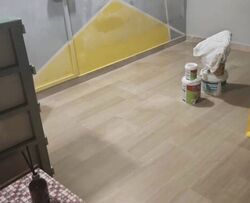 Blk 683 Tessensohn Road (Kallang/Whampoa), HDB 4 Rooms #581845441